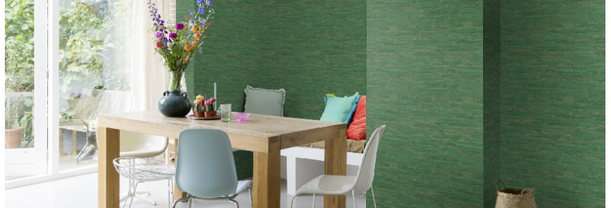 CURIOSITY-RASCH CURIOSITY-RASCH